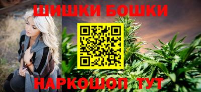 бошки Будённовск
