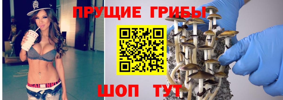 Псилоцибиновые грибы мицелий Лиски